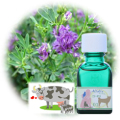 Pet01(��)���ۥᥪ�ѥ��������ǥ�.com