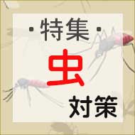 特集・虫対策