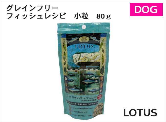 抽選でプレゼント