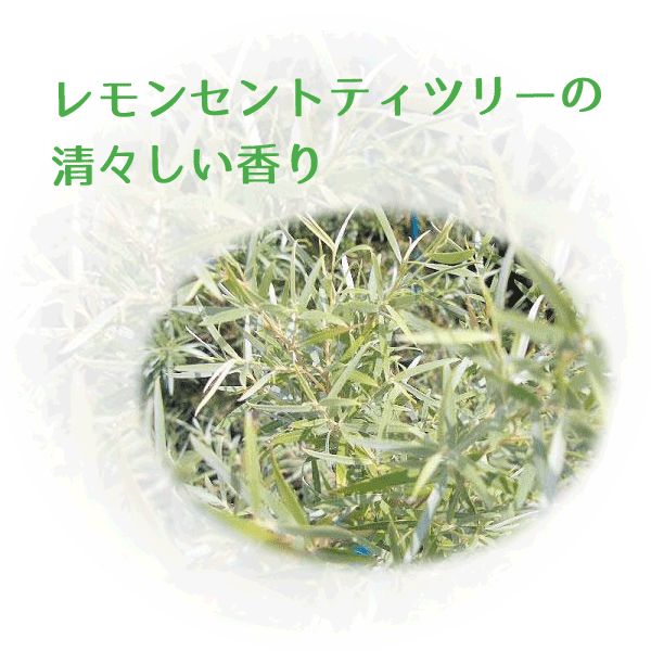 天然由来成分を主成分とした防虫剤