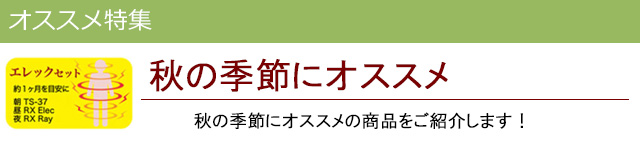 秋にオススメ|レメディコムセレクト