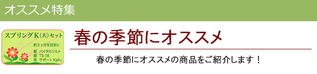 春にオススメ|レメディコムセレクト