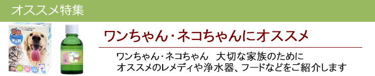 ワンちゃん・ネコちゃんにオススメ|レメディコムセレクト