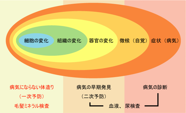 細胞の変化がわかります