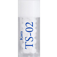 TS-02(Kam)(小)