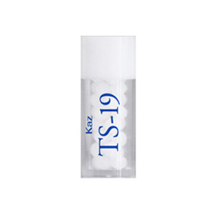 TS-19(Kaz)(小)
