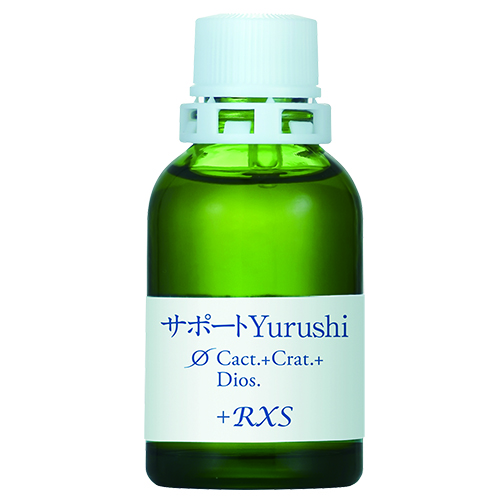 サポートφYurushi