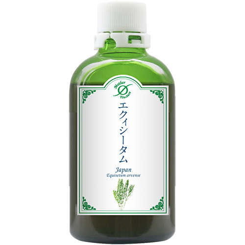 MTエクィシーダムJ(大)