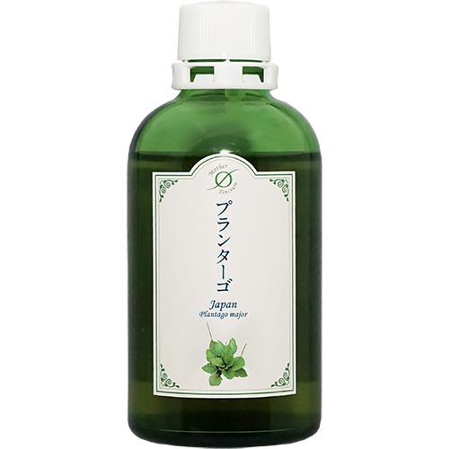 MTプランターゴJ(大)