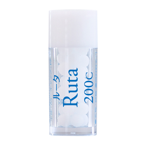 Ruta./ルータ200C単品(小)