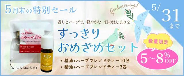 月末限定セール