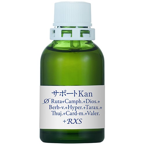 サポートφKan